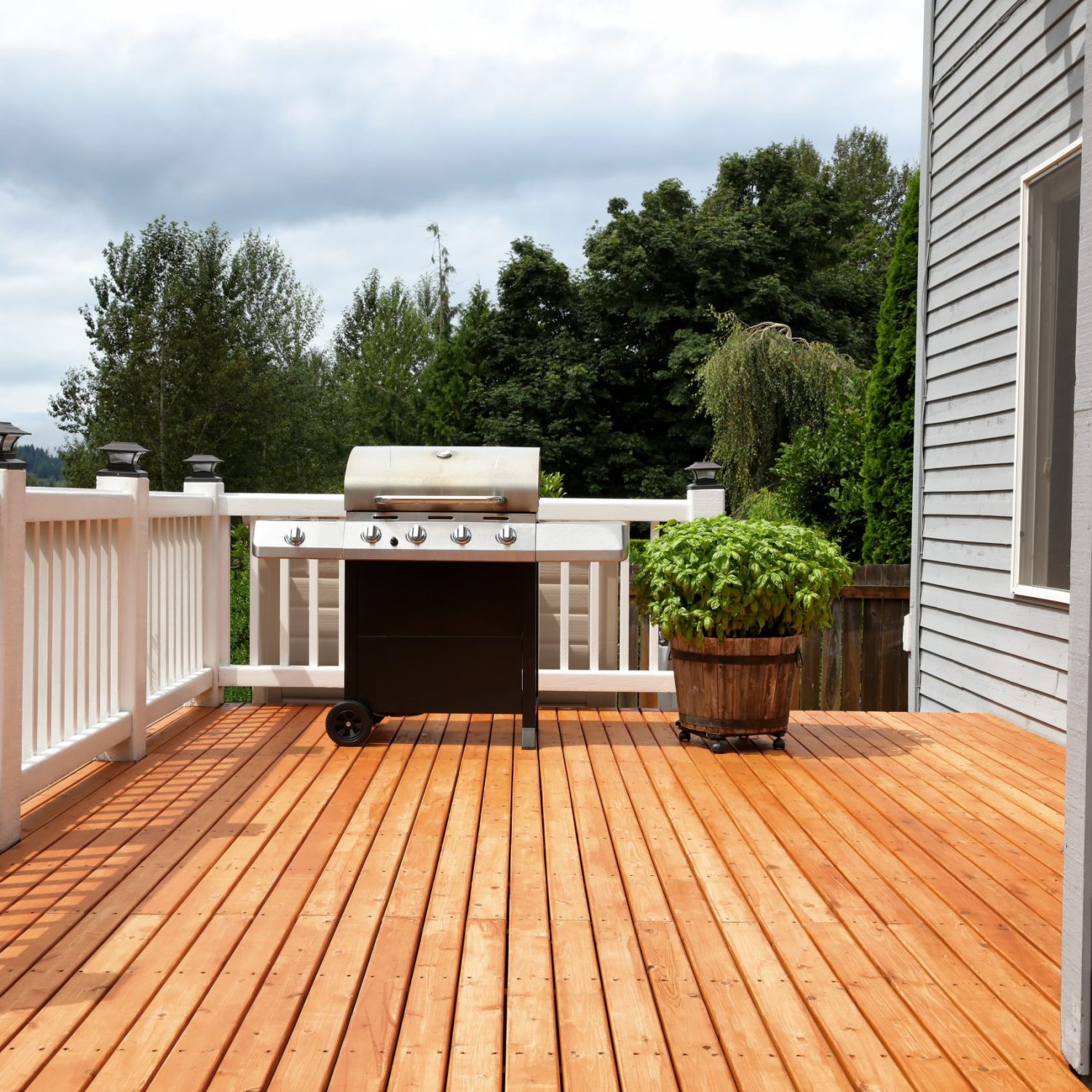 Barbecue grill cooker with wooden barrel of fresh basil on open outdoor deck Barbecue grill cooker with large wooden barrel of fresh basil on open outdoor deck